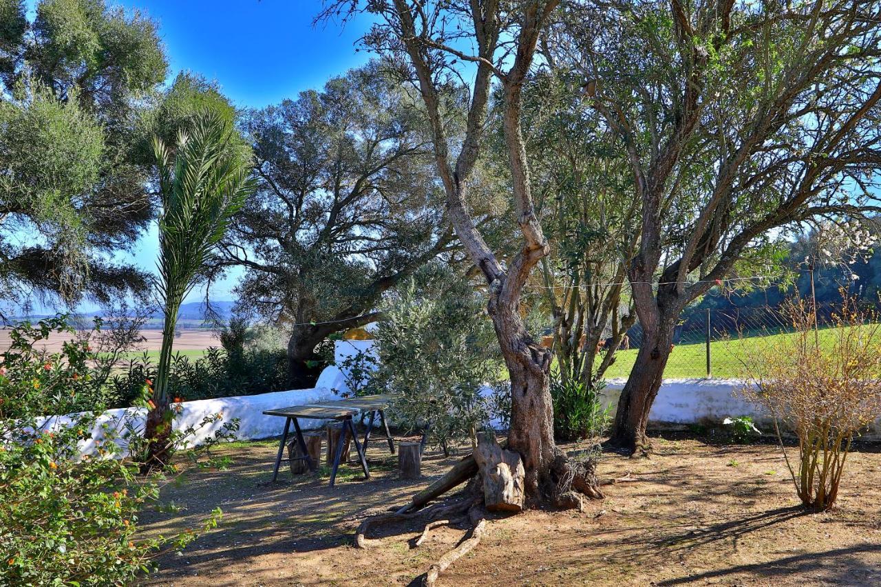 Casa Rural Finca Los Hierros Vejer de la Frontera Bagian luar foto